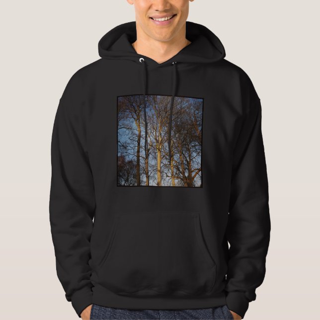 Veste À Capuche Photo carré - Arbres d'hiver illuminés par le sole (Devant)