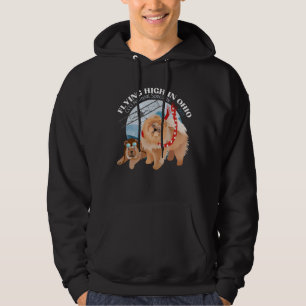 VESTE À CAPUCHE SWEATSHIRT CLASSIQUE HODED - LUMIÈRE AVEC LOGO