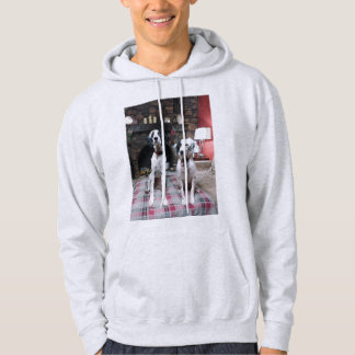 Veste À Capuche Sweatshirt d'amour Setter