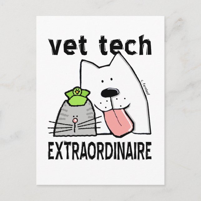 vet+tech vet+tech+geschenke vet+tech+gear Veterinä Postkarte (Vorderseite)