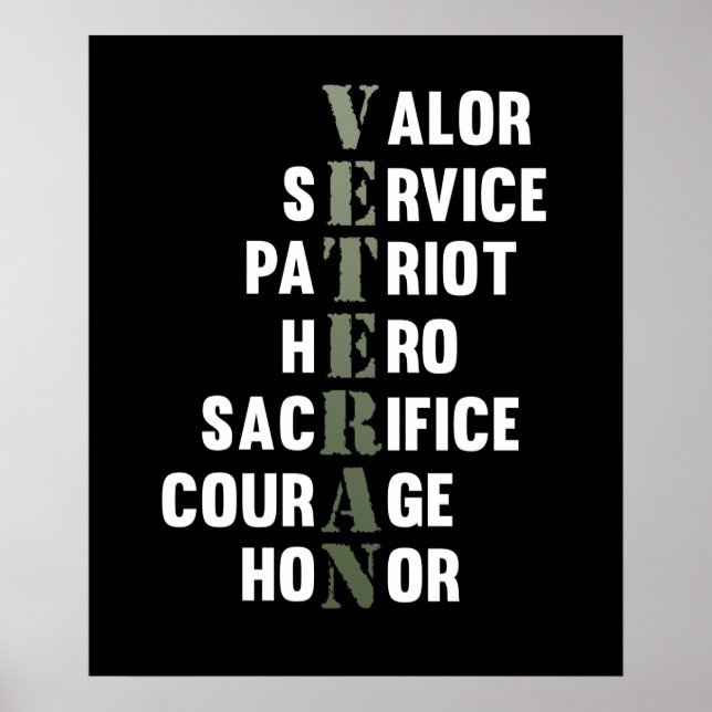 Veteran Fakten Happy Veterans Day Support Grafik Poster (Vorne)