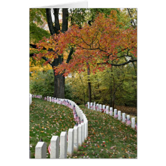 Veteranentag