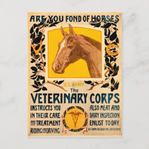 Veterinäramt Postkarte