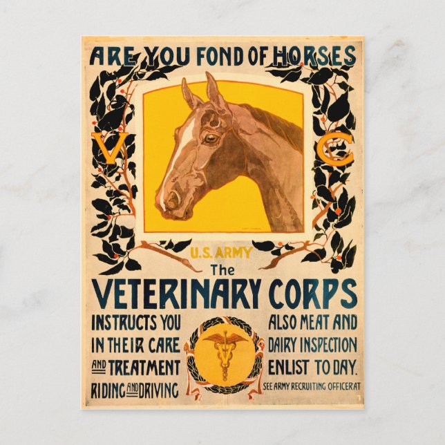Veterinäramt Postkarte (Vorderseite)