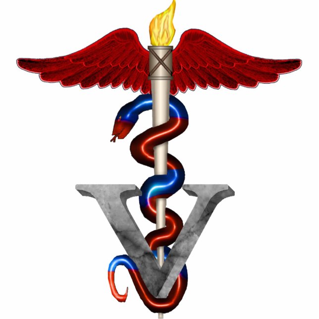 VeterinärCaduceus Freistehende Fotoskulptur (Vorne)