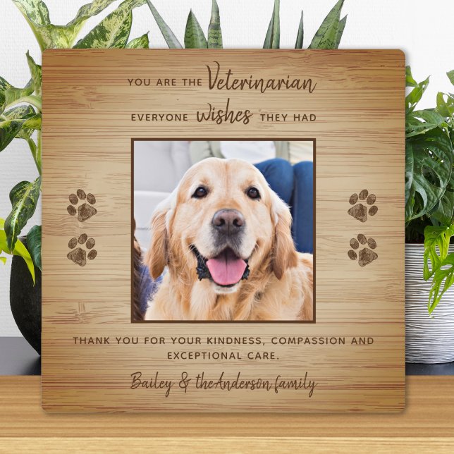 Veterinärmedizinische Bewertung Foto Pet Vielen Da Fotoplatte (Von Creator hochgeladen)