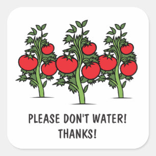 Veuillez ne pas arroser les autocollants - tomates