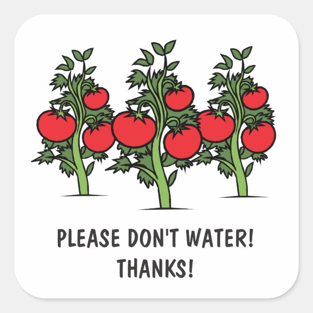 Veuillez ne pas arroser les autocollants - tomates (Devant)