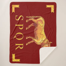 Vexilla SPQR Stier