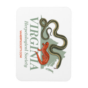 VHS Logo-Magazin Magnet