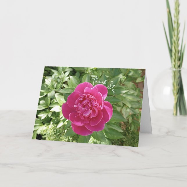 Vibranly Pink Peony Blume Danke Karte (Vorderseite)