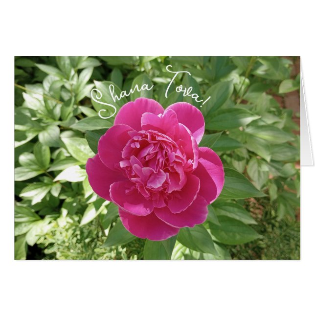 Vibranly Pink Peony Blume Rosh Hashanah Card (Vorderseite (Horizontal))