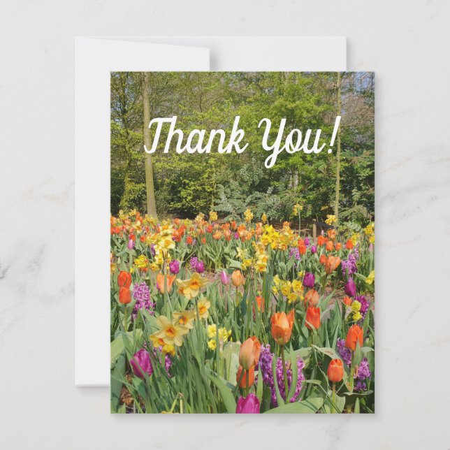Vibrannt Tulip Garden Danke Karte (Vorderseite)