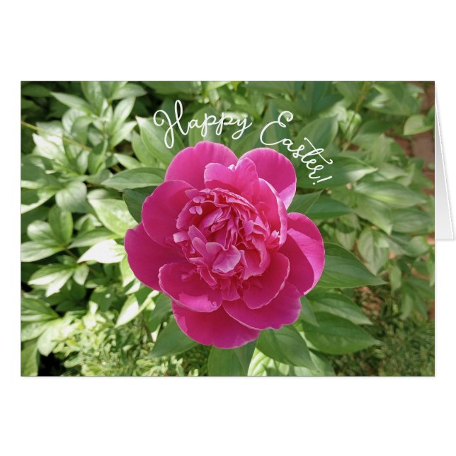 Vibrannte Pink Peony Blume Osterkarte (Vorderseite (Horizontal))