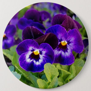 Vibrannte Schöne Lila Mohn-Blume Fotografie Button
