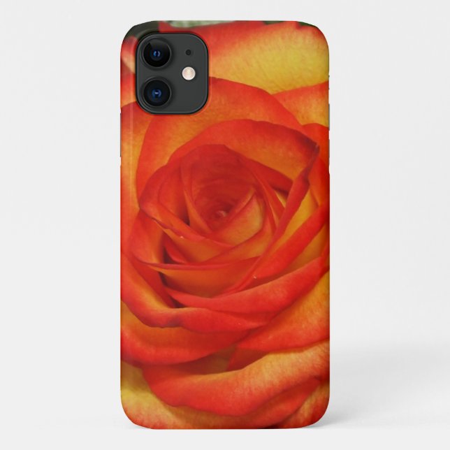 Vibranntes Macro-Foto für Rot und Peach-Rose Case-Mate iPhone Hülle (Rückseite)