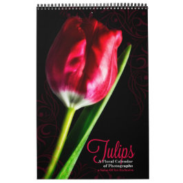 Vibrant Full Length Tulip Garden 12 Monat Kalender