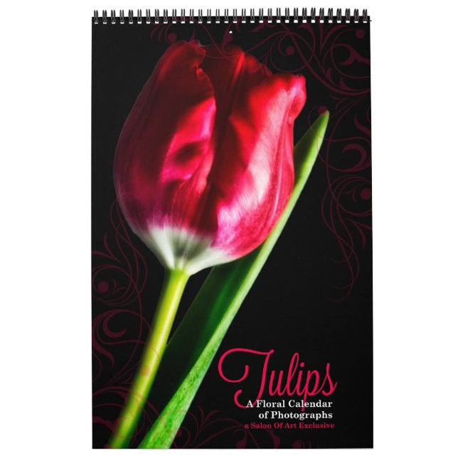 Vibrant Full Length Tulip Garden 12 Monat Kalender (Titelbild)