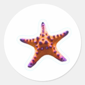 Vibrant Ocean Starfish - Coastal Beach Vibe Sticke Runder Aufkleber