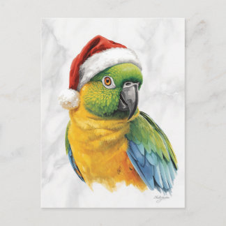 Vibrant Parrot Portrait in Santa Hat Feiertagspostkarte