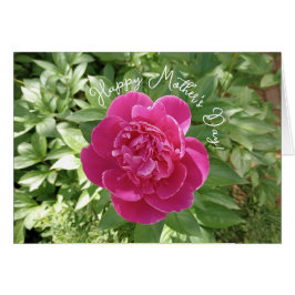 Vibrant Pink Peony Blume Muttertagskarte