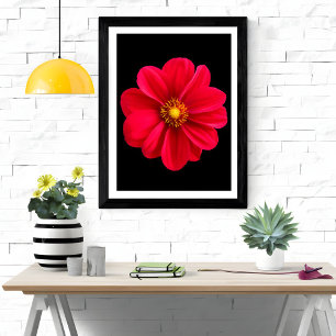 Vibrant Red Dahlia Fotodruck