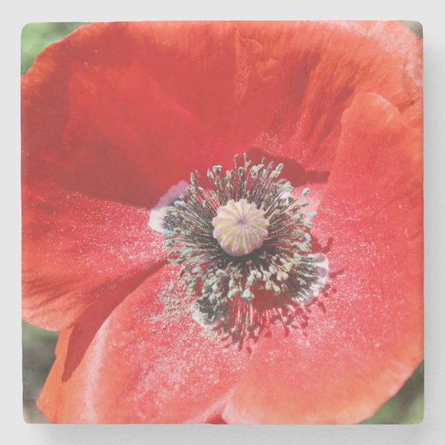 Vibrant Red Macro Botanical Poppy Floral Steinuntersetzer (Vorderseite)