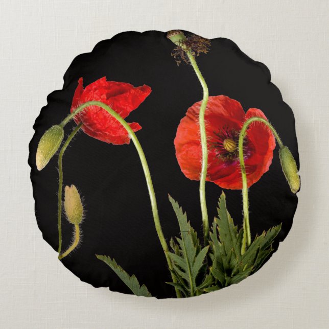 Vibrant Red Poppies on Black Rundes Kissen (Vorderseite)