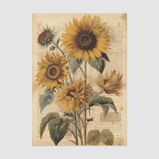 Vibrant Sunflowers and Vintage Script Seidenpapier (Vorderseite)
