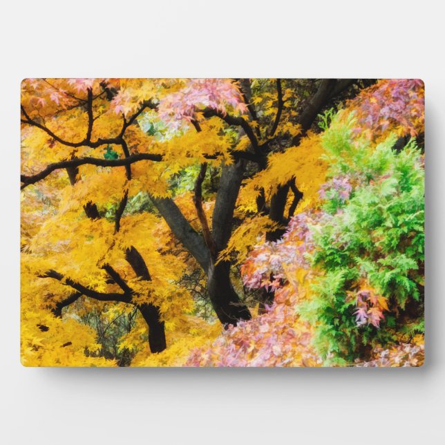 Vibrant Zen Garden Fotoplatte (Vorderseite)