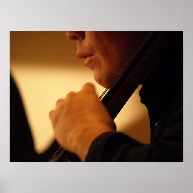 Vibrato Poster (Vorne)