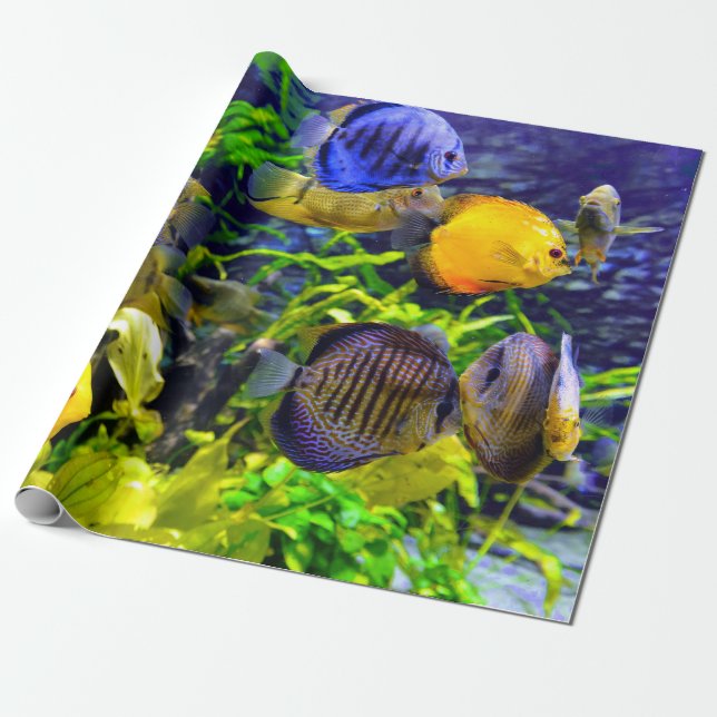 Vibrierende bunte tropische Seewasserfische Geschenkpapier (Ungerollt)