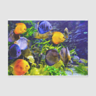 Vibrierende bunte tropische Seewasserfische Seidenpapier