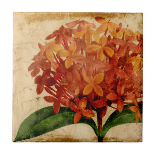 Vibrierendes Blumen-III Fliese