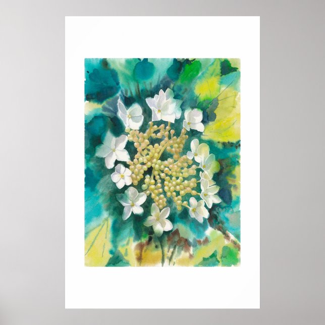 Viburnum-Blüten Poster (Vorne)