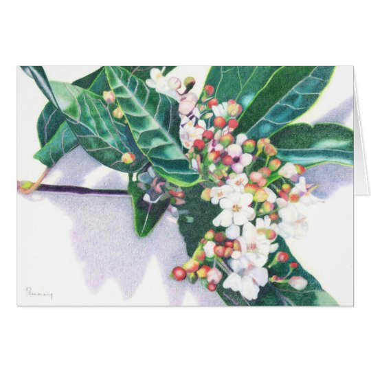 Viburnum Karte