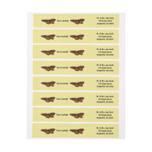 Viceroy Butterfly Schöne Naturfotografie