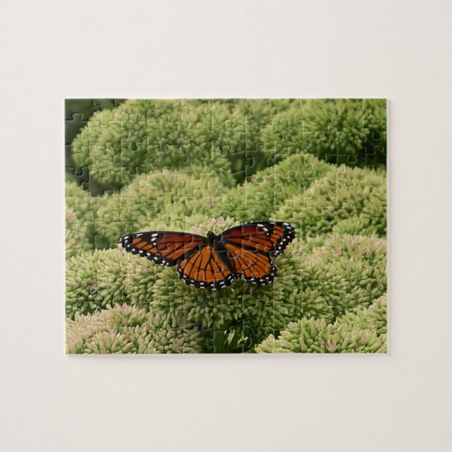 Viceroy Butterfly Schöne Naturfotografie (Horizontal)