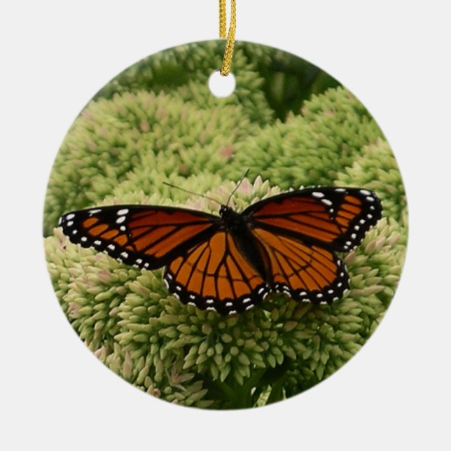 Viceroy Butterfly Schöne Naturfotografie Keramikornament (Vorne)
