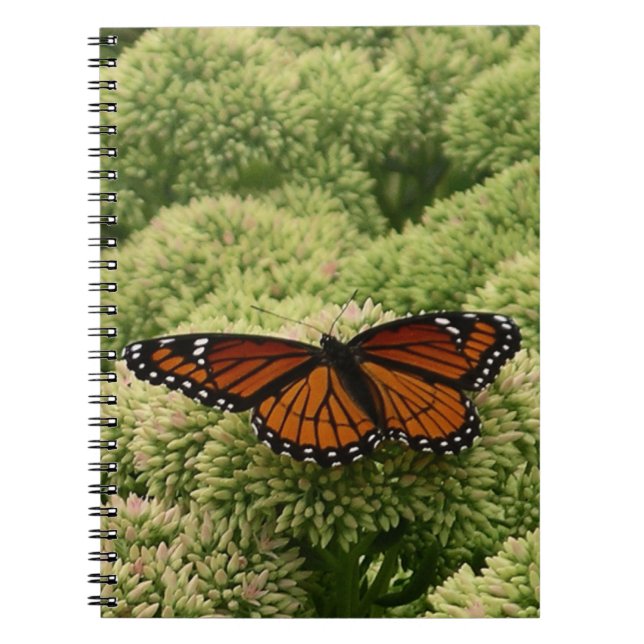 Viceroy Butterfly Schöne Naturfotografie Notizblock (Vorderseite)