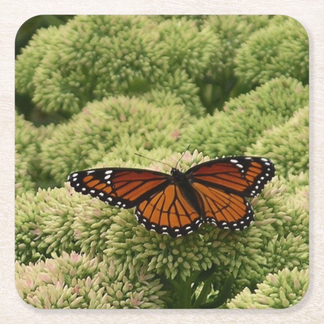 Viceroy Butterfly Schöne Naturfotografie Rechteckiger Pappuntersetzer (Vorderseite)