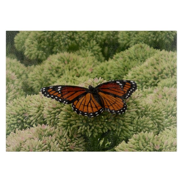 Viceroy Butterfly Schöne Naturfotografie Schneidebrett (Vorderseite)