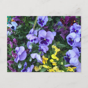 Victoria Blume Postkarte