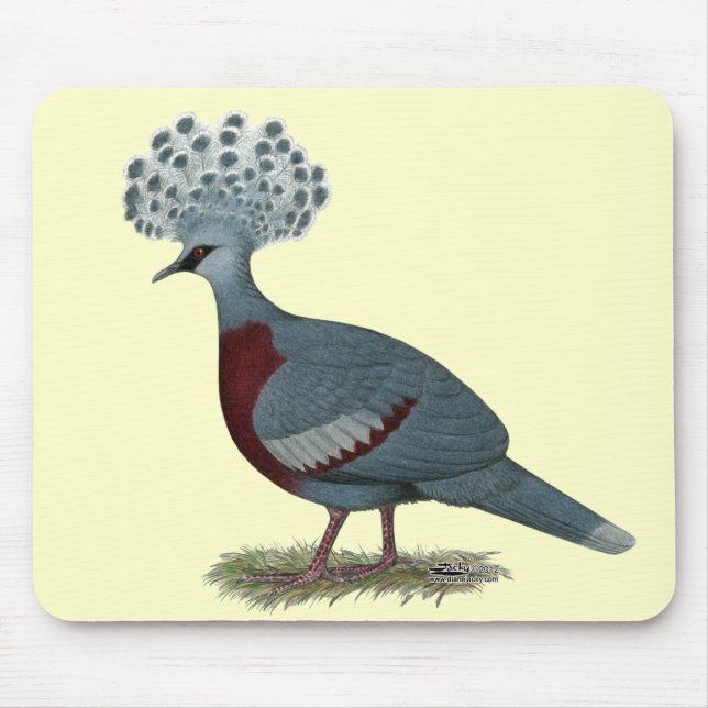Victoria Crowned Pigeon Mousepad (Vorne)