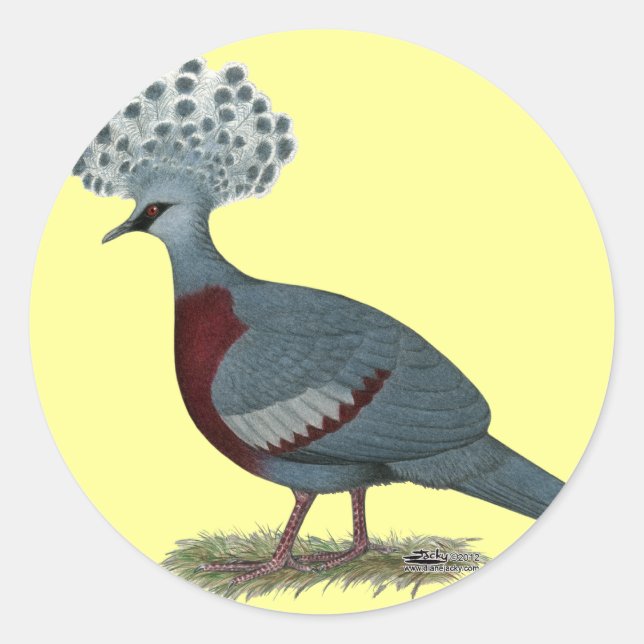 Victoria Crowned Pigeon Runder Aufkleber (Vorderseite)