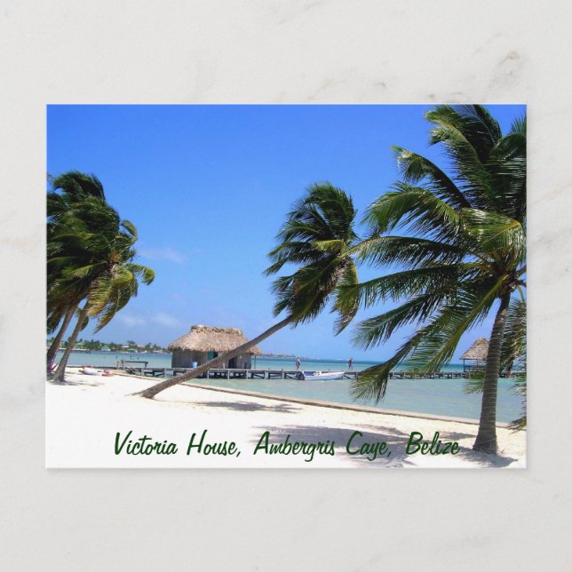 Victoria House Ambergris Caye Belize Postcard Postkarte (Vorderseite)