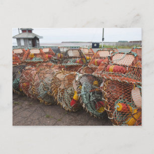 Victoria, Prince Edward Island. Krabbenfallen Postkarte
