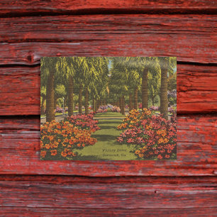 Victory Dr Azaleas Palmen Bäume Savannah GA Retro Postkarte