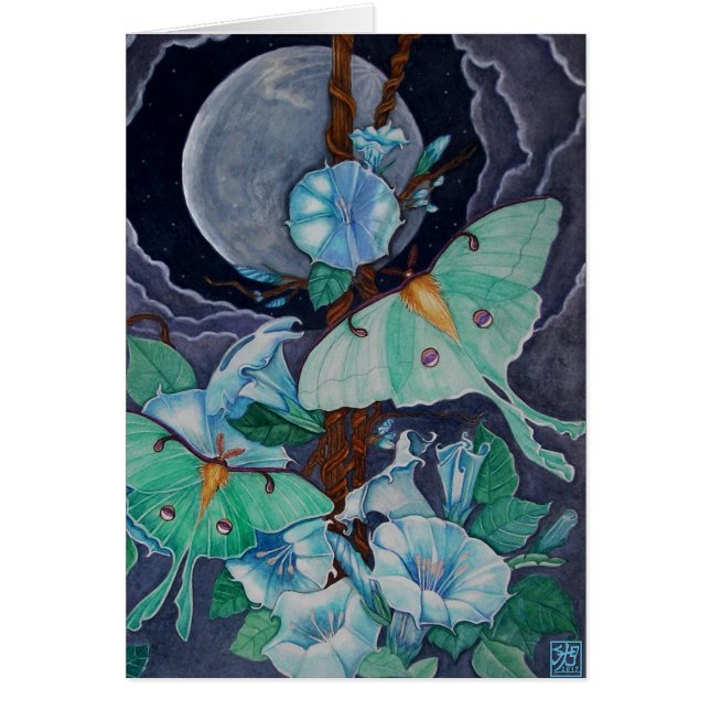 Vida de la Luna (Devant)