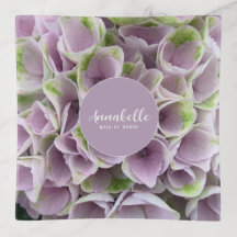 Hydrangée verte pâle et mauve